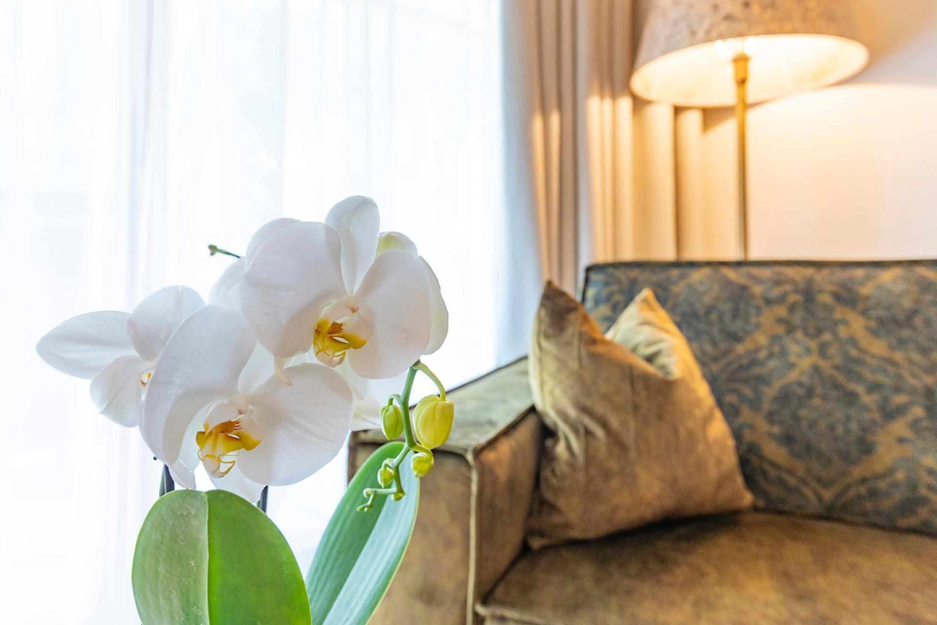 Hotel Alpenrose 가글린 외부 사진
